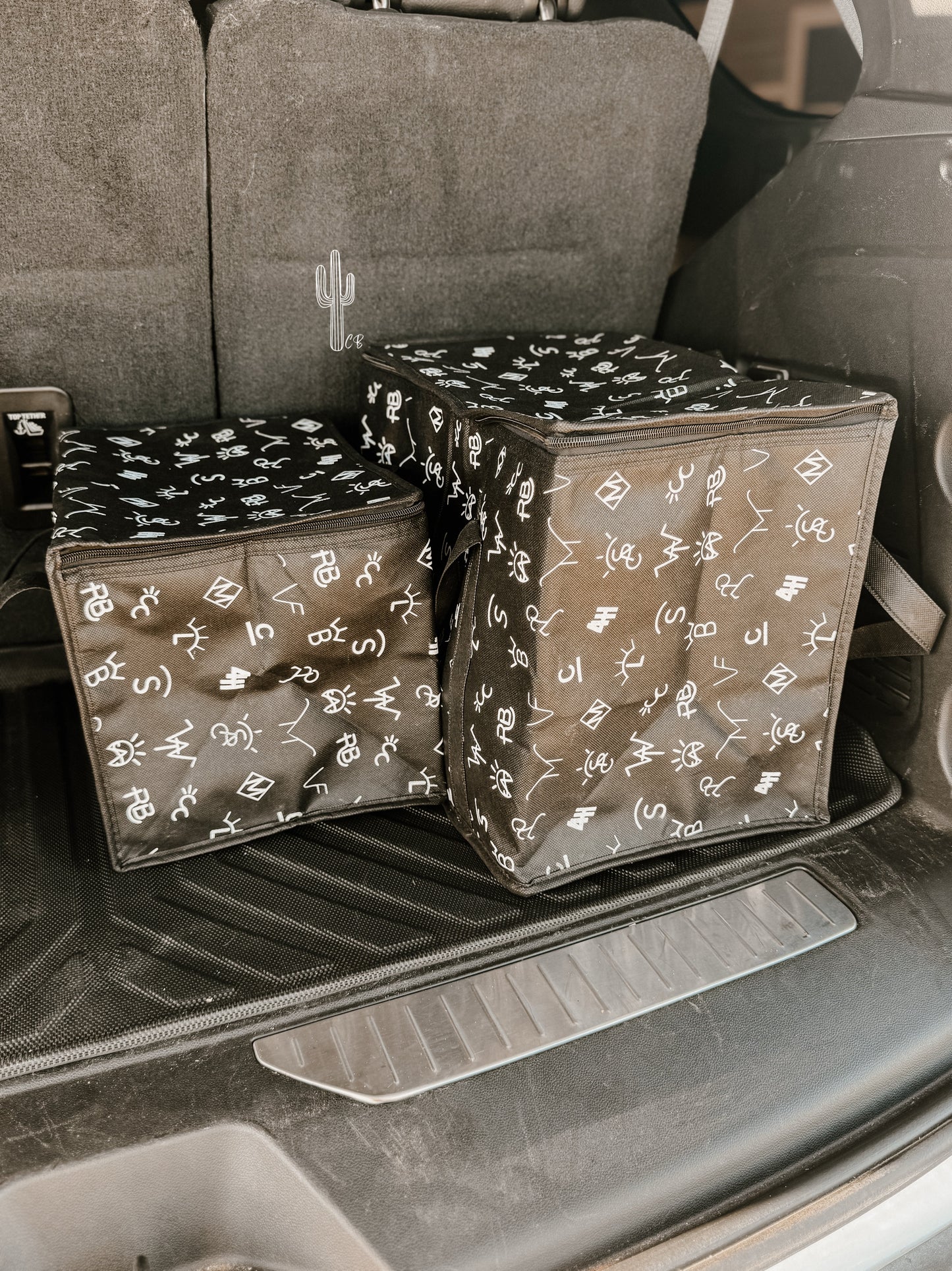 Insulated Reusable Bag RTS