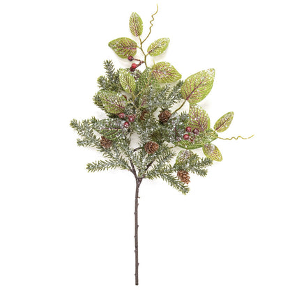 Snowy Fittonia, Pine & Berries Pick, 15"