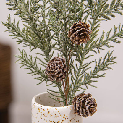 First Frost Pine Spray w/Cones, 14"